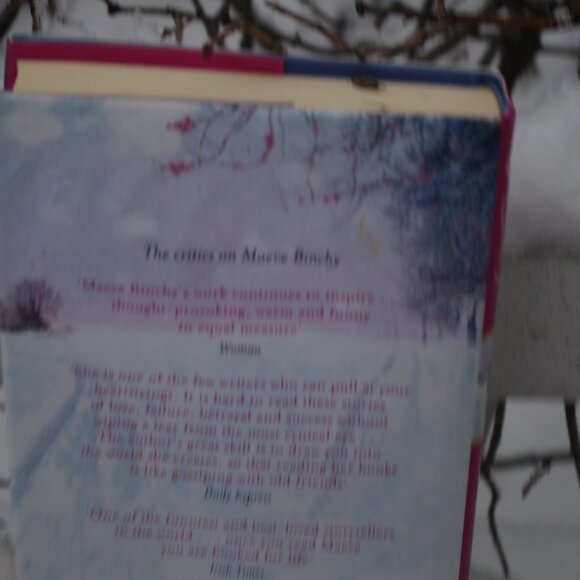 Book A Few Of The Girls By , Maeve Binchy - Picture 4 of 6